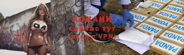 мяу мяу мука Арсеньев