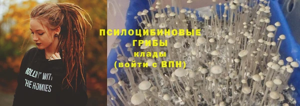 MDMA Premium VHQ Аркадак