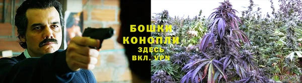 apvp Армянск