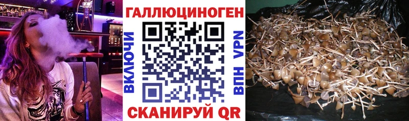 Псилоцибиновые грибы прущие грибы  наркота  Белово 