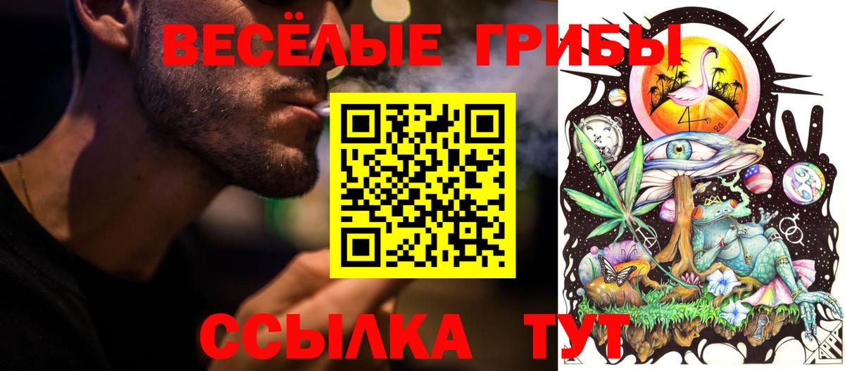 Галлюциногенные грибы Psilocybine cubensis Белово