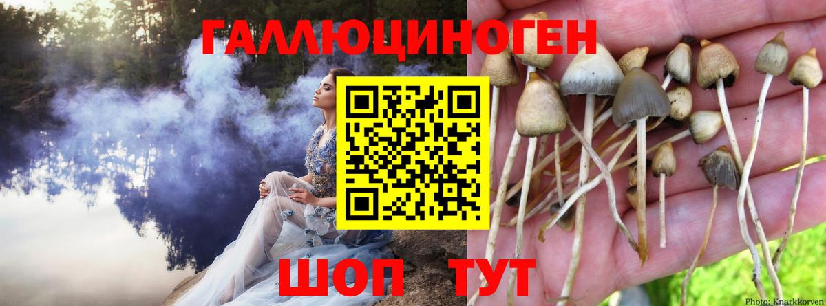 Белово  Галлюциногенные грибы GOLDEN TEACHER  Вход с VPN 